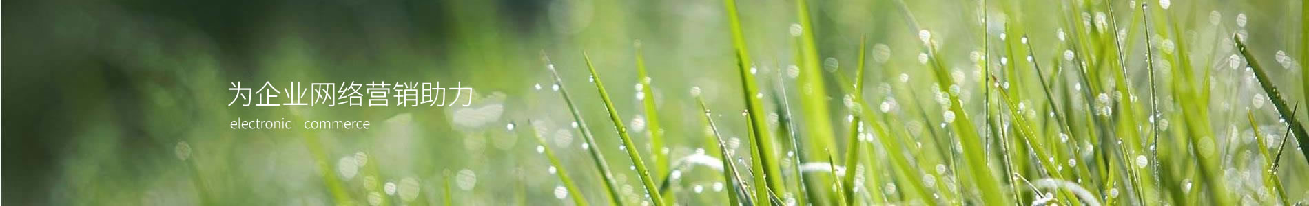 ݻ󻷱Ƽ޹˾
